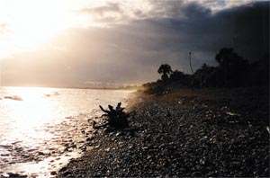 Hotel-Boca-Canasta-Caribe-beach-1